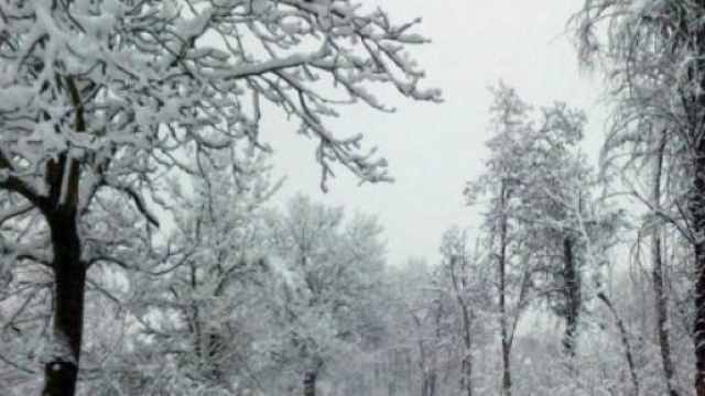 Previsioni meteo febbraio 2015: ecco l'inverno