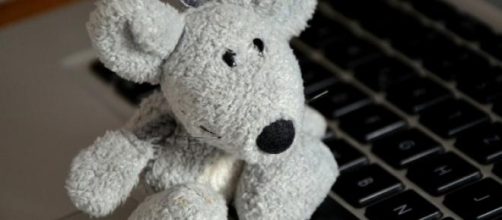 Cursos de medicina veterin&aacute;ria online e gr&aacute;tis 