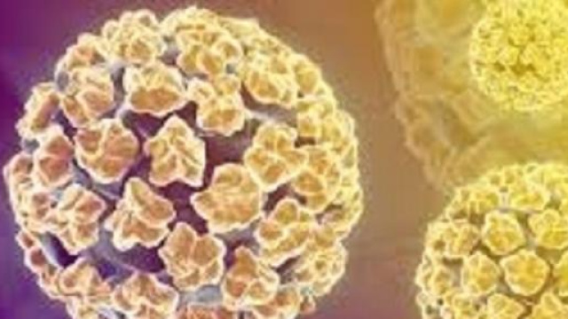 Un nuovo test per il Papilloma virus