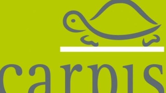 Offerte ci lavoro carpisa a Napoli