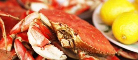 Comparte los deleites del mar con tu familia  en la mesa