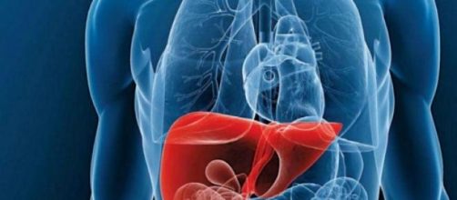 La acumulaci&oacute;n de excesos puede agotar el h&iacute;gado