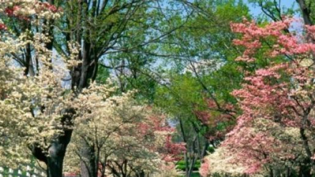 Previsioni meteo gennaio 2015, torna la primavera