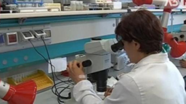 Influenza 2015, come sar&agrave;? Previsioni e sintomi