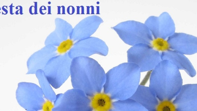Frasi Festa dei nonni 2 ottobre 2015