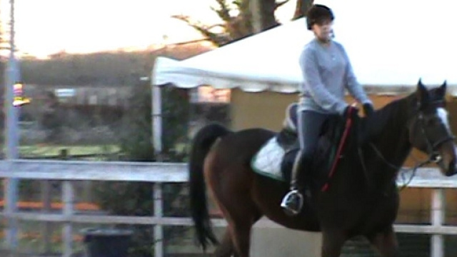 Fieracavalli di Verona 2015: dal 5 all'8 novembre