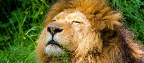 Image source Pixabay commons no attrition