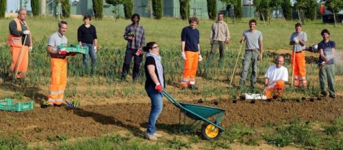 Proyecto un huerto en la red, Italia