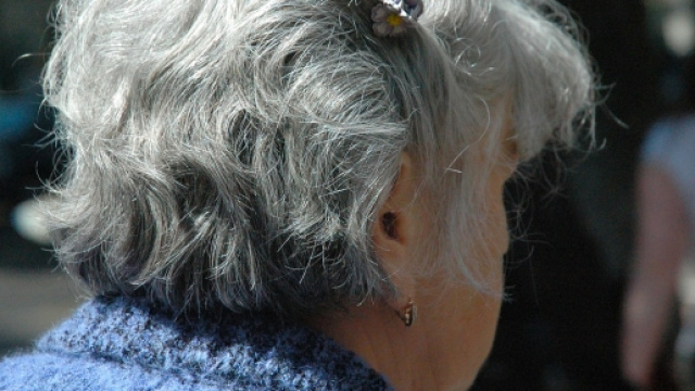 Pensioni, ultime news al 12 ottobre