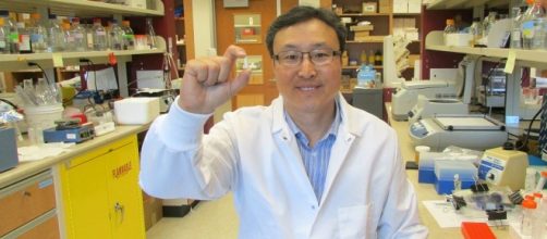 Hoon Sunwoo, estudio sobre intolerancia al gluten