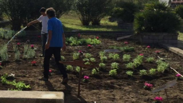 Ragazzi coltivano frutti nell'orto