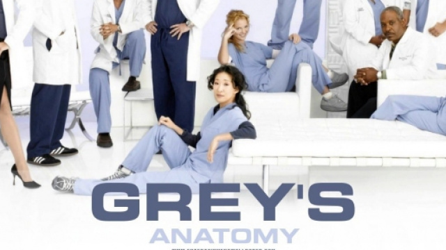 novit&agrave; per la stagione 12 di Grey's Anatomy