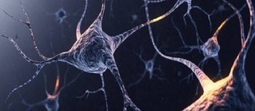 Fun&ccedil;&otilde;es corporais que nosso corpo faz ap&oacute;s morte