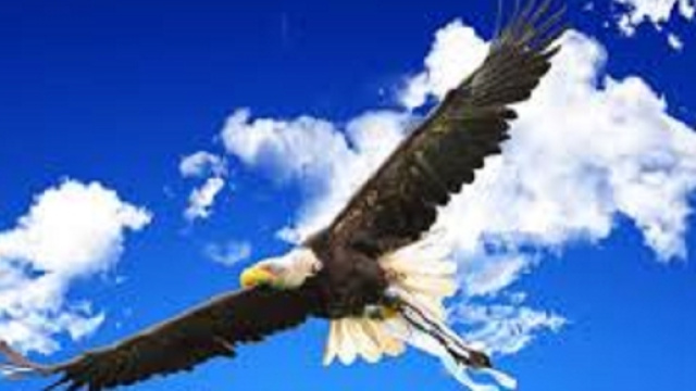 News e pronostici Serie A: Sassuolo-Lazio