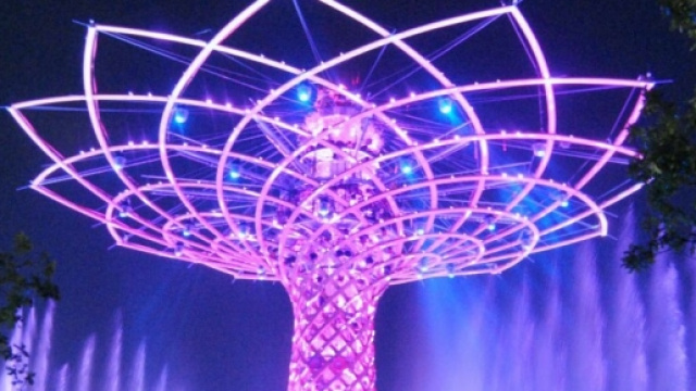 L'albero della vita, immagine notturna