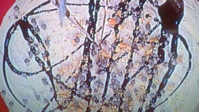 Torta morbida al burro di arachidi