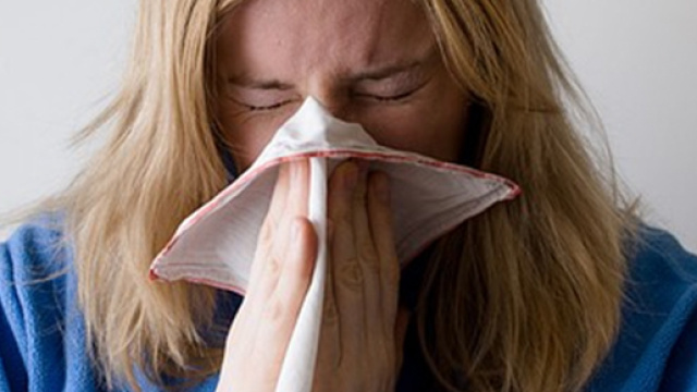 Influenza autunno-inverno 2015-2016