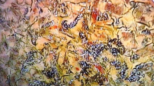 Frittata senza uova alle erbe di Marco Bianchi