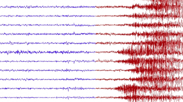 EEG prima (blu) e durante (rosso) crisi epilettica