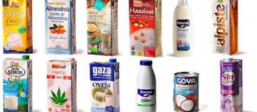 Distintos tipos de leche del mercado