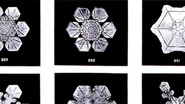 foto di Wilson Bentley: cristalli di ghiaccio