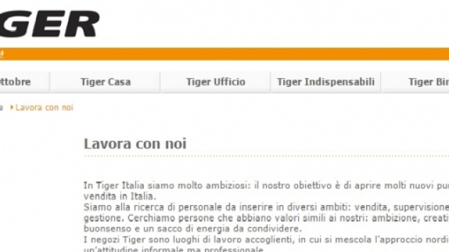 Offerta di lavoro con Tiger: come inviare il cv