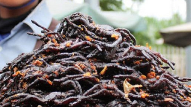 Un piatto di vermicelli fatti alla grigia