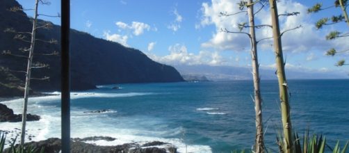 Desde la zona de barbacoas en Camping Mesa del Mar