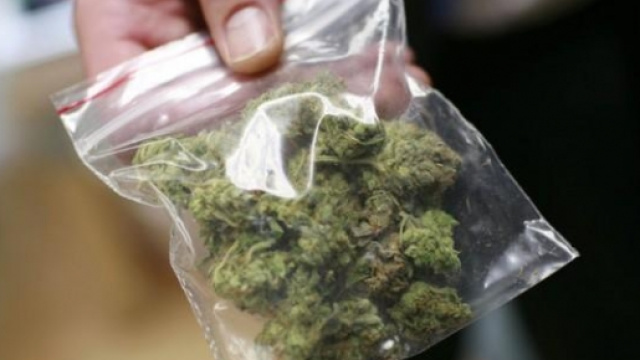 Drogatest in dotazione alla Polizia