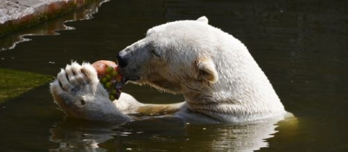 Image source Pixabay no attrition commons