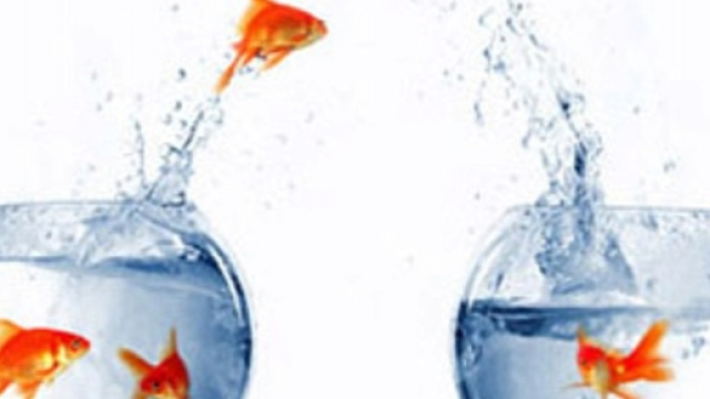 5 alternative per ottenere la pensione anticipata