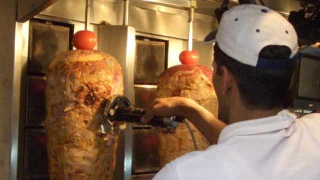 Tracce di Escherichia coli nel kebab