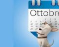 Migliore Rc auto online, quale scegliere subito senza aspettare il Ddl concorrenza