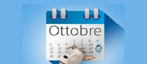 Migliore Rc auto online, quale scegliere subito senza aspettare il Ddl concorrenza