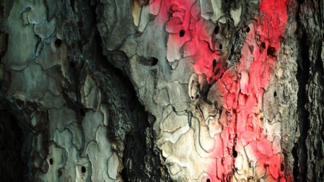 Ritorna la serie tv X-Files con nuovi episodi