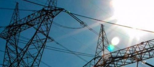 Un gatito ocasion&oacute; un desastre