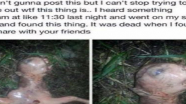Due delle sette foto postate dalla Peponis