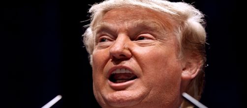 Candidate Donald Trump by Gage Skidmore.