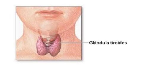 hipertiroidismo e hipotiroidismo