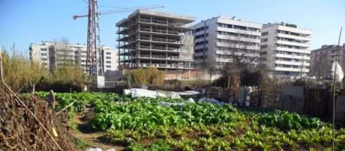 Huertos urbanos de Madri, Espa&ntilde;a
