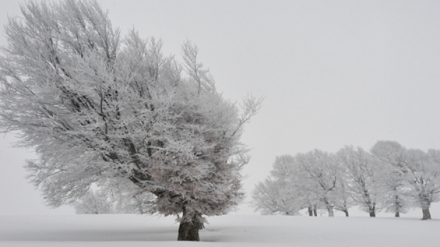 Previsioni meteo: quando inizia l'inverno?