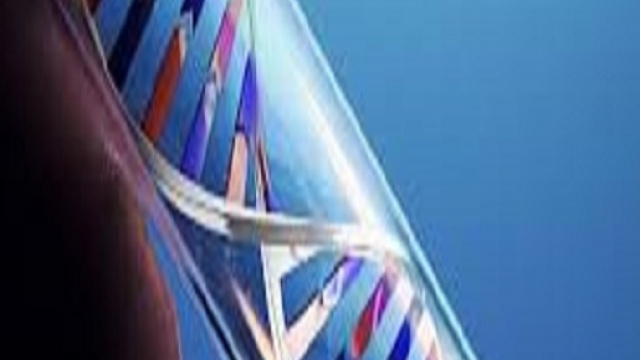 test del DNA non &egrave; sempre necessario in giudizio