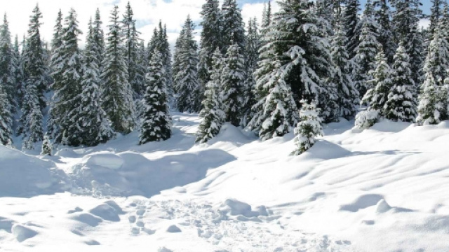 Neve al di sopra dei 7-800 metri