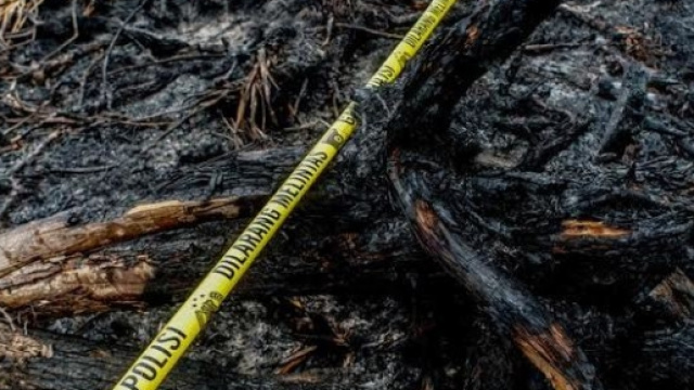 scena del crimine: foresta indonesiana