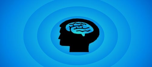 El hemisferio izquierdo del cerebro,