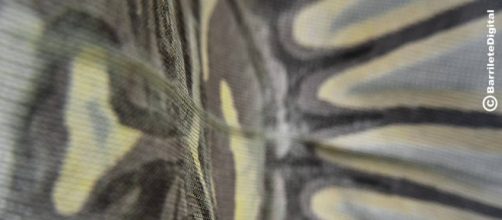 Bandera Argentina. Foto tomada de mi coleccion