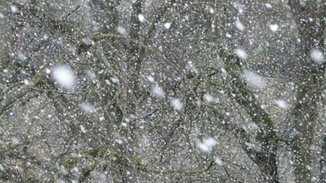 Nevicate previste per dicembre 2015