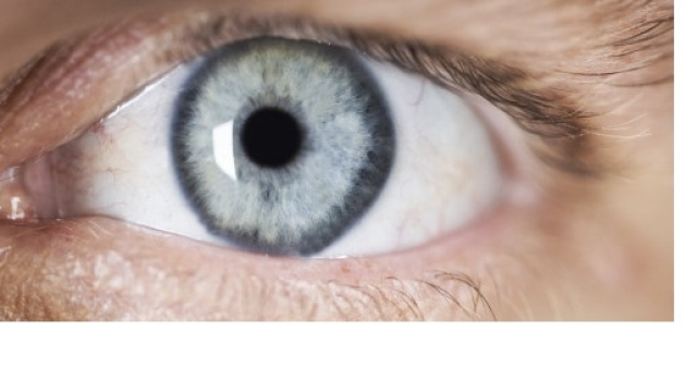 La miopia &egrave; il disturbo della vista pi&ugrave; diffuso