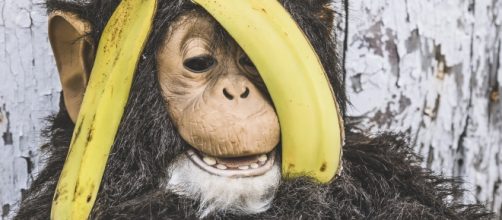 La sonrisa, muestra indiscutible de la felicidad.