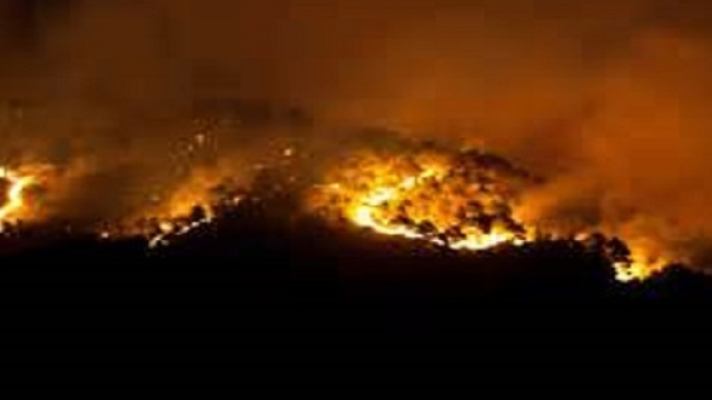 La diossina che si innalza insieme alle fiamme